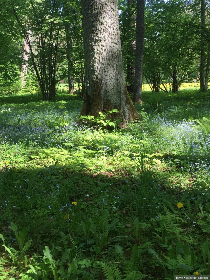 Маленькие путешественники