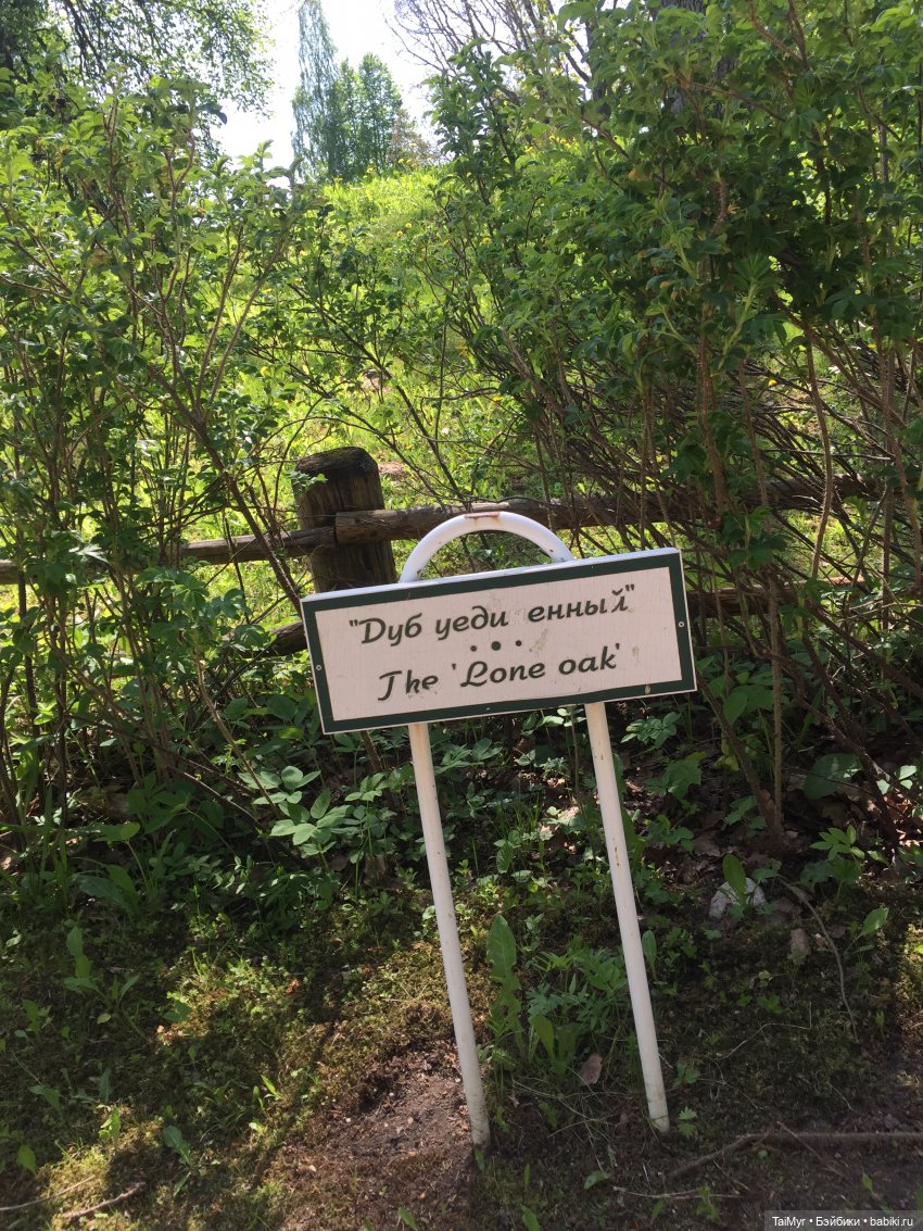 Маленькие путешественники