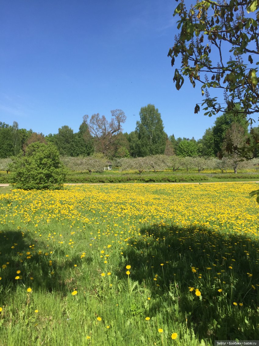 Маленькие путешественники