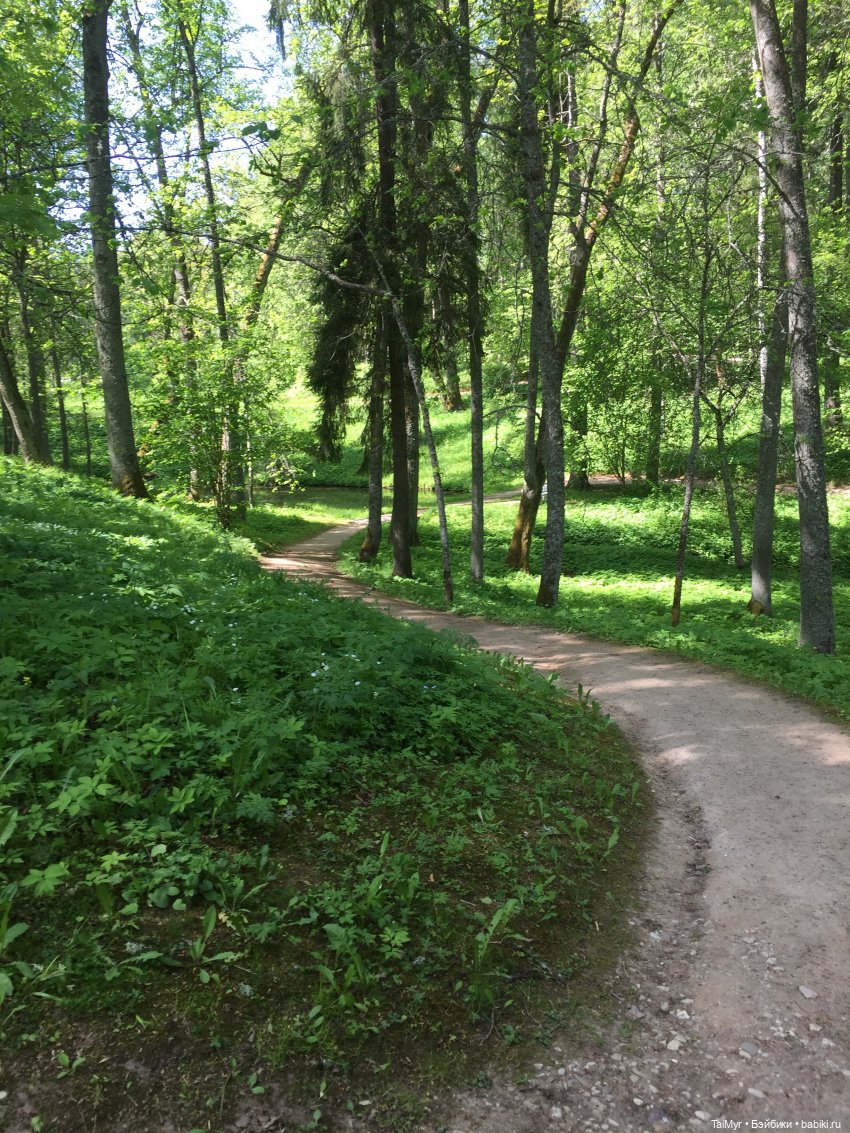 Маленькие путешественники