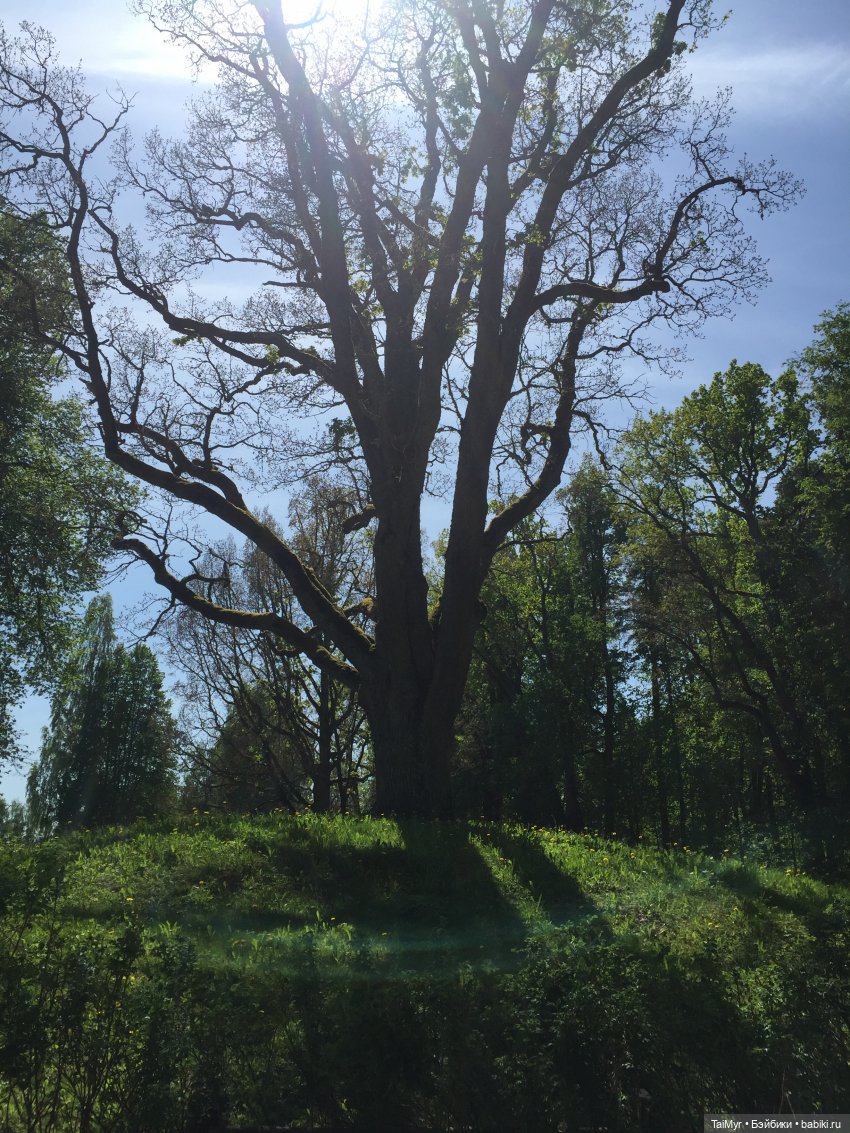 Маленькие путешественники