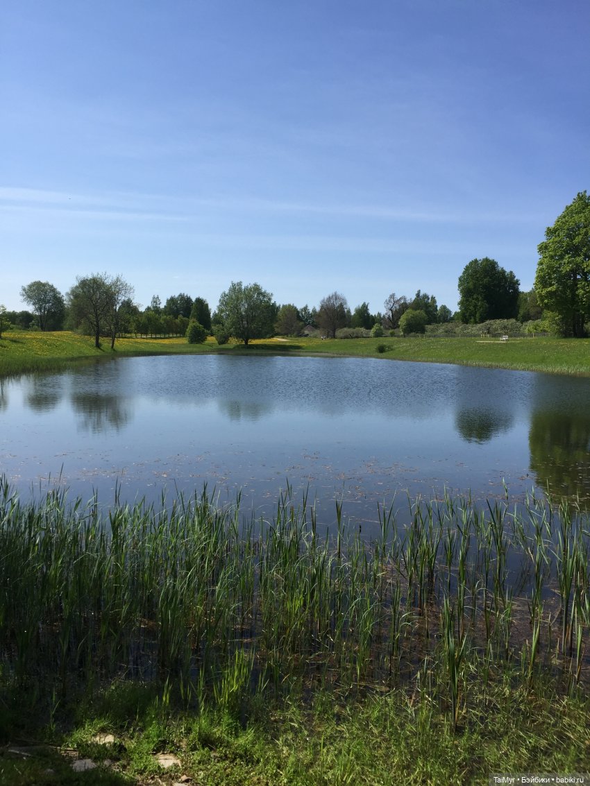 Маленькие путешественники