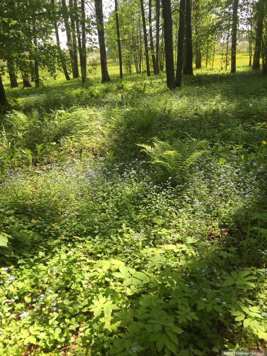 Маленькие путешественники