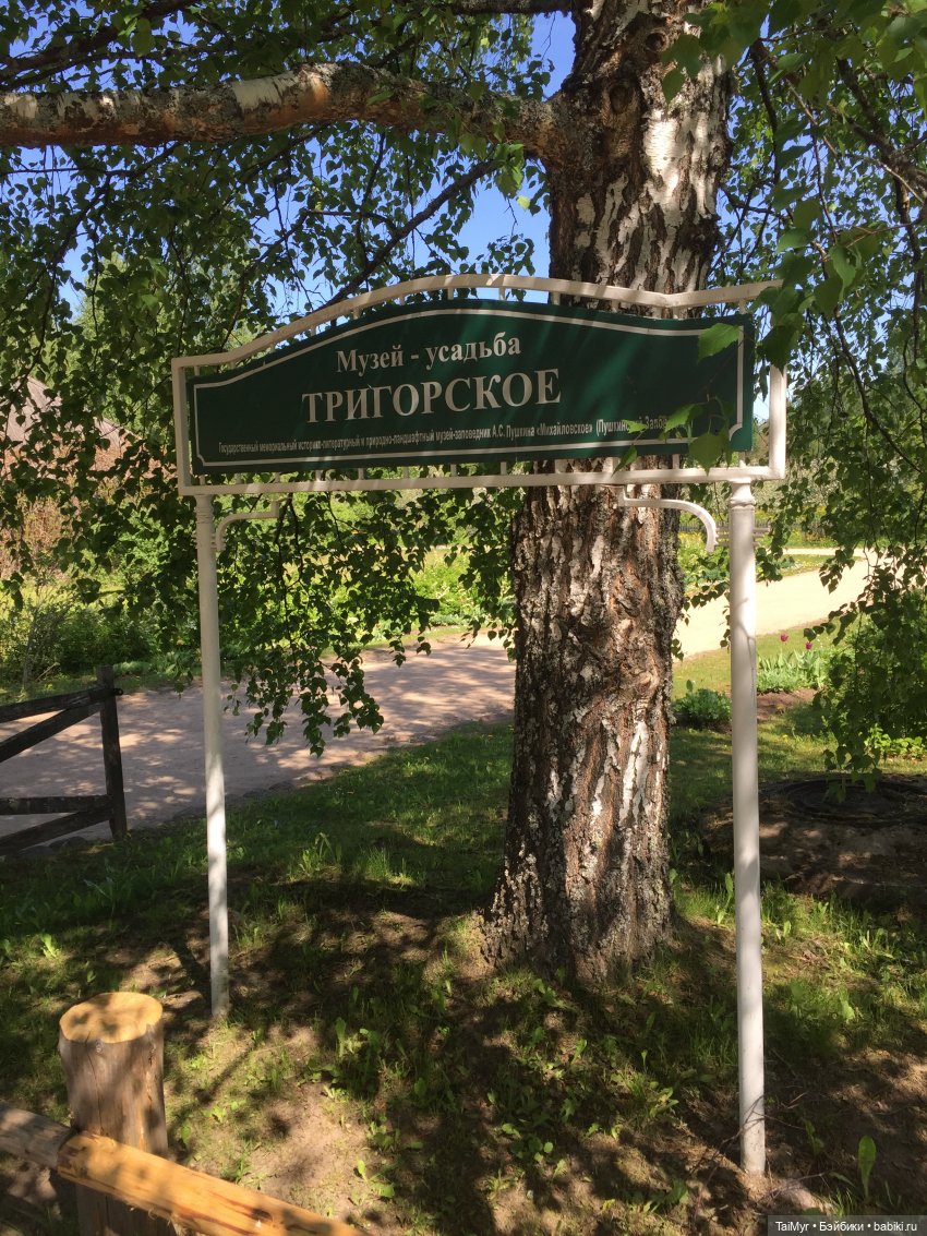 Маленькие путешественники (фото 8)