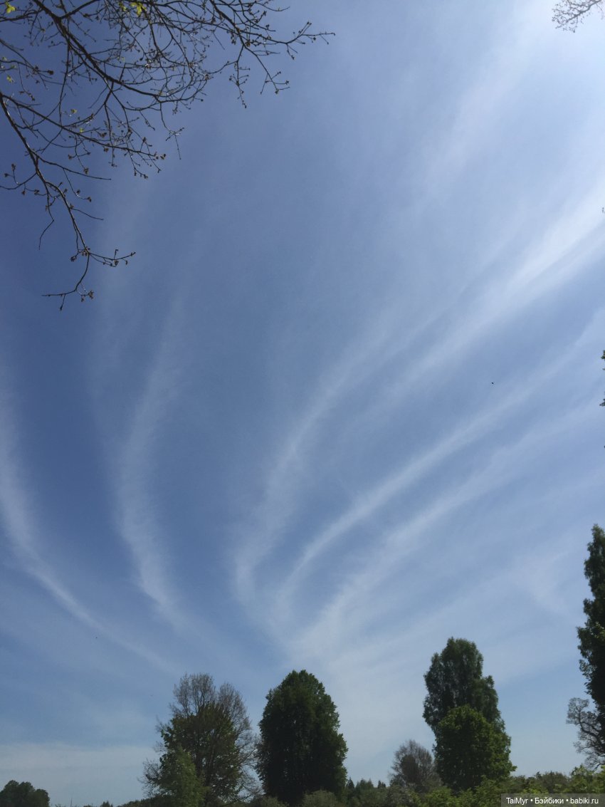 Маленькие путешественники