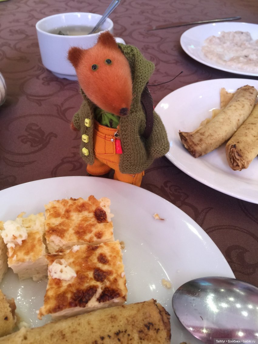 Маленькие путешественники (фото 5)