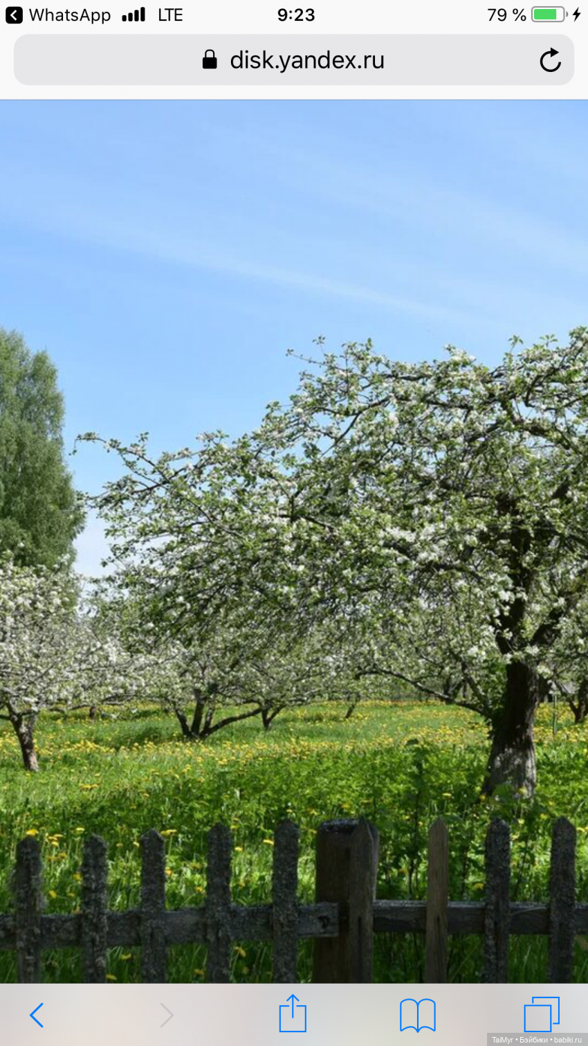 Маленькие путешественники
