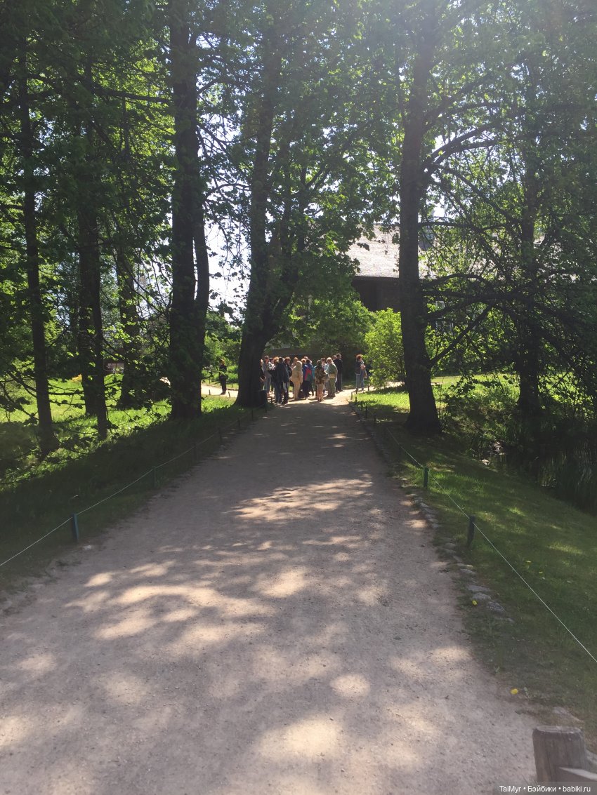 Маленькие путешественники