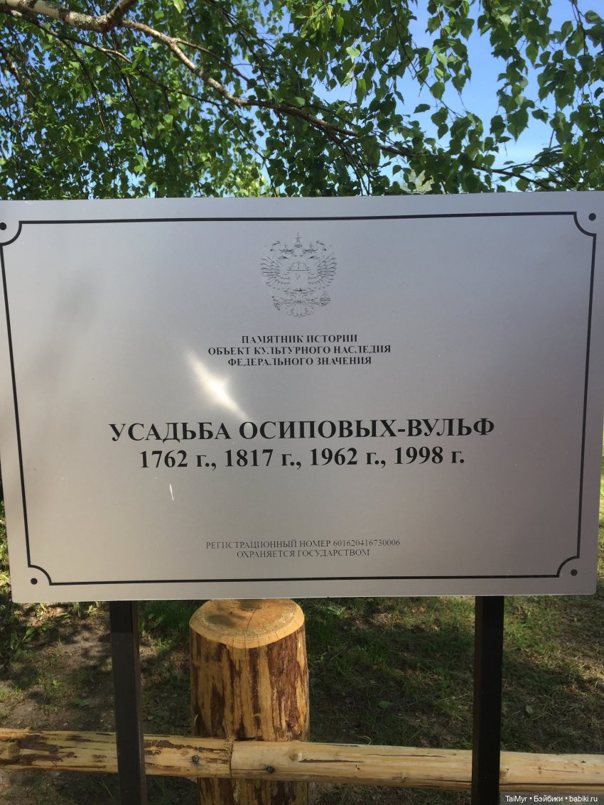 Маленькие путешественники (фото 9)