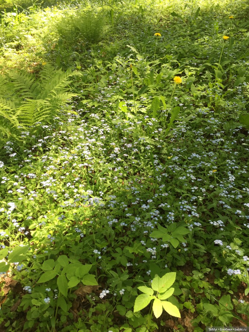 Маленькие путешественники
