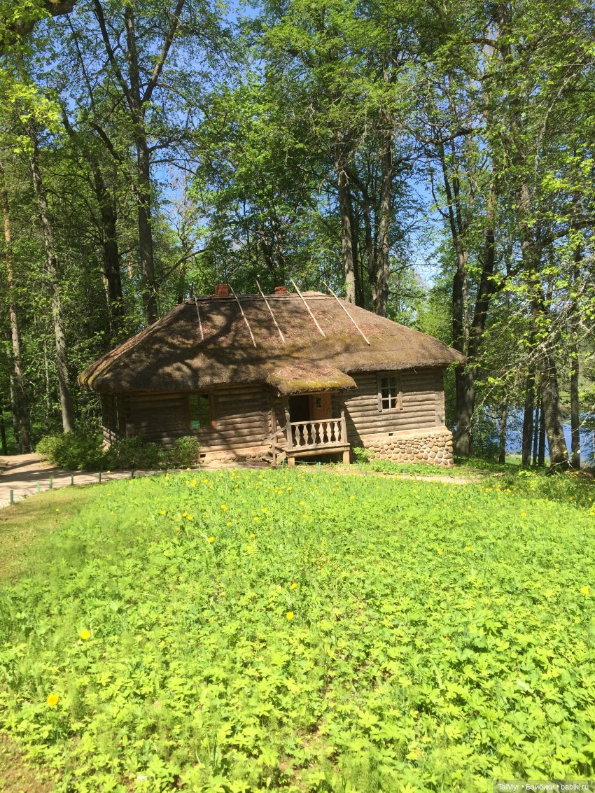 Маленькие путешественники