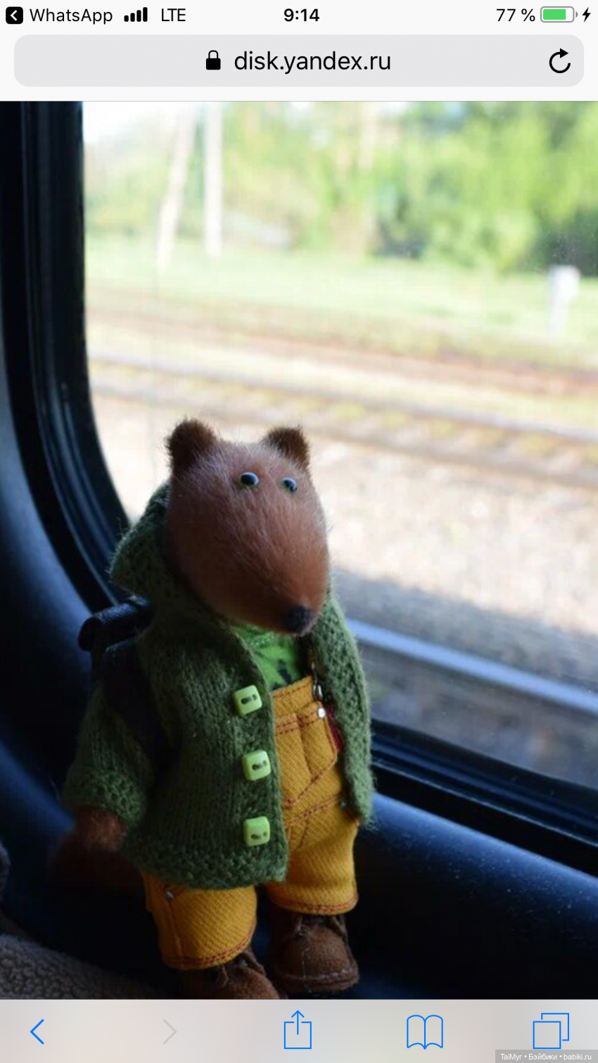 Маленькие путешественники (фото 2)