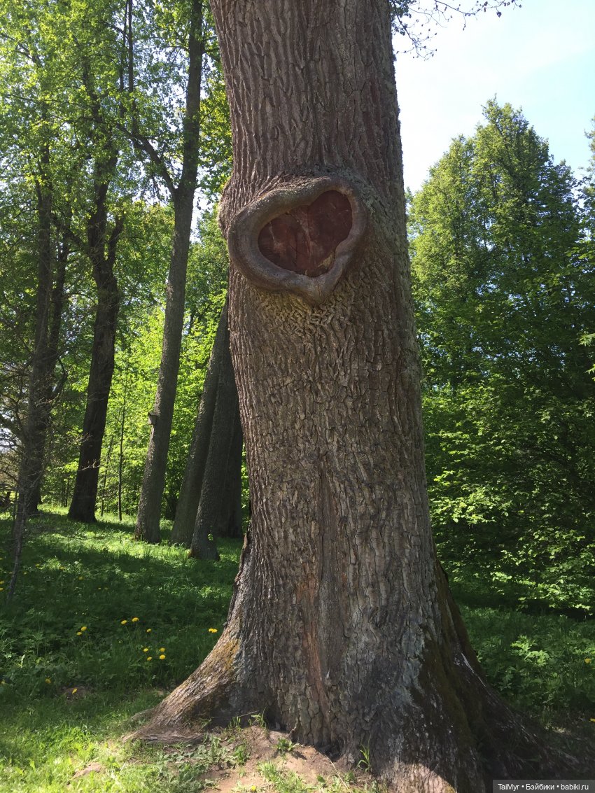 Маленькие путешественники