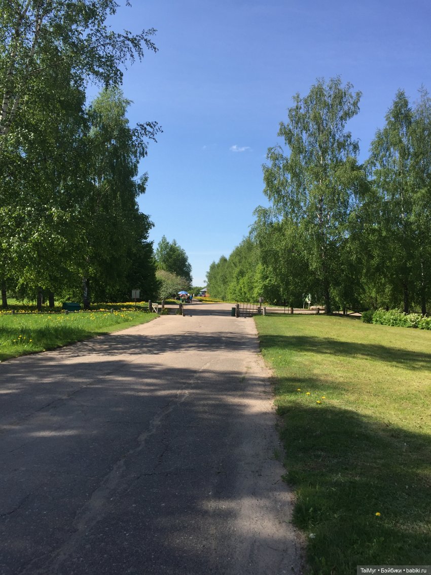 Маленькие путешественники (фото 10)