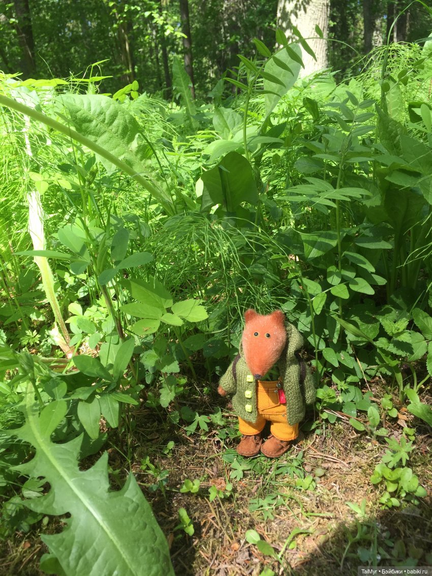 Маленькие путешественники