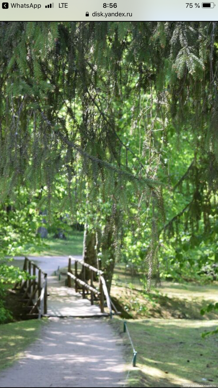 Маленькие путешественники (продолжение)