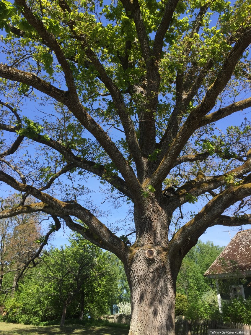 Маленькие путешественники (продолжение)