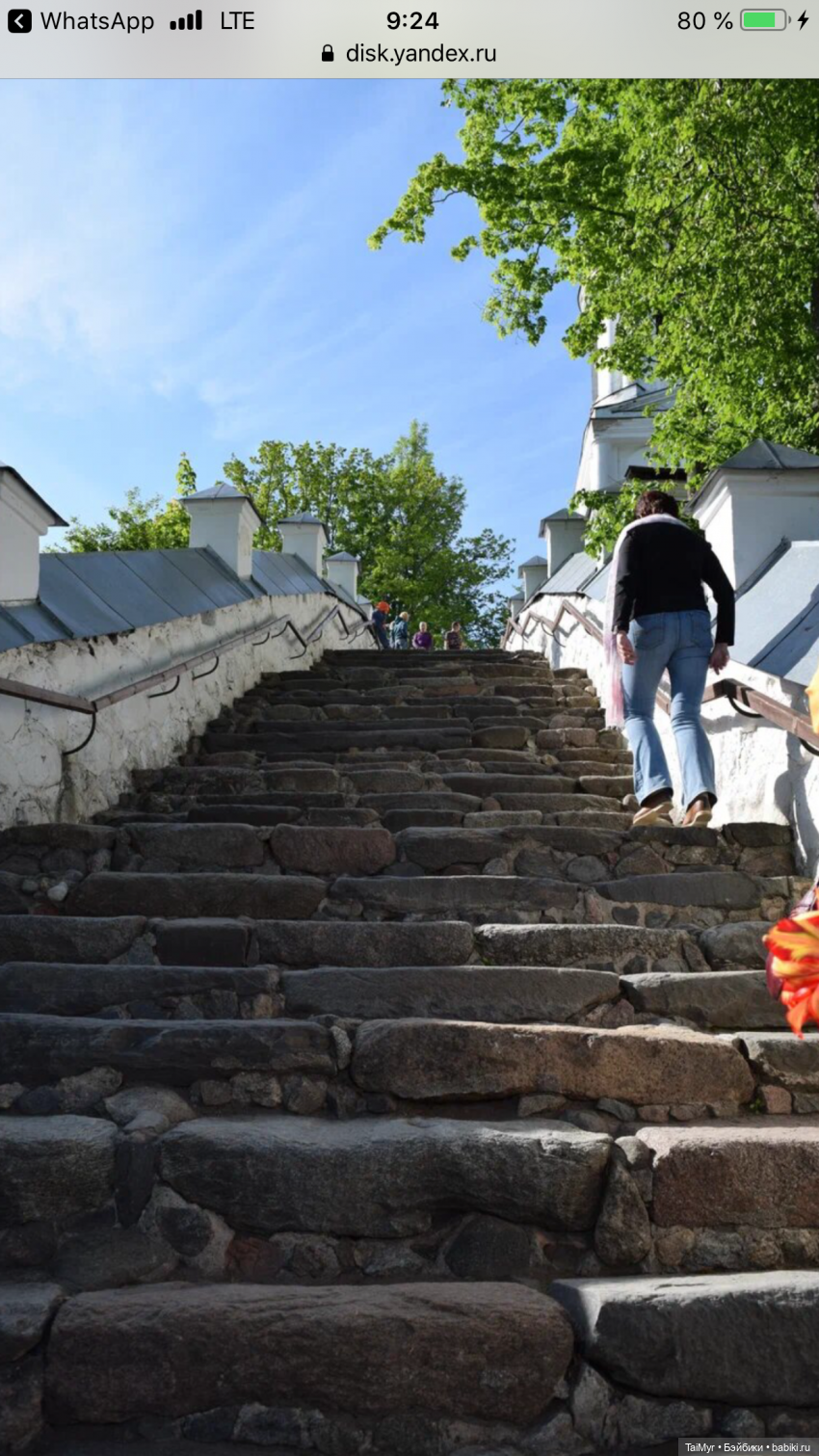 Маленькие путешественники (продолжение)