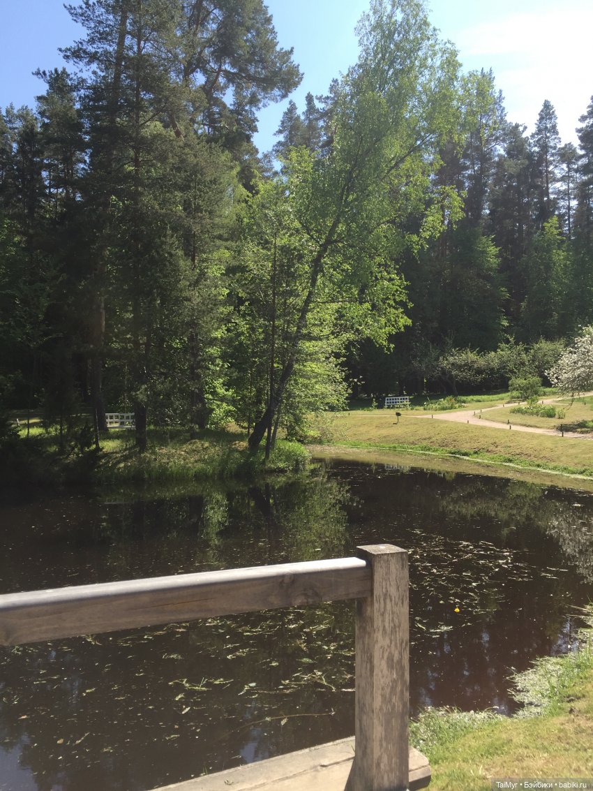 Маленькие путешественники (продолжение) (фото 10)