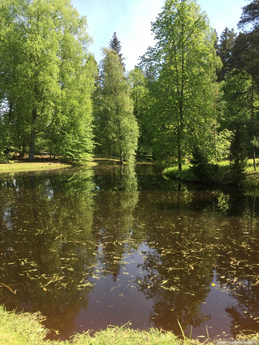 Маленькие путешественники (продолжение) (фото 9)