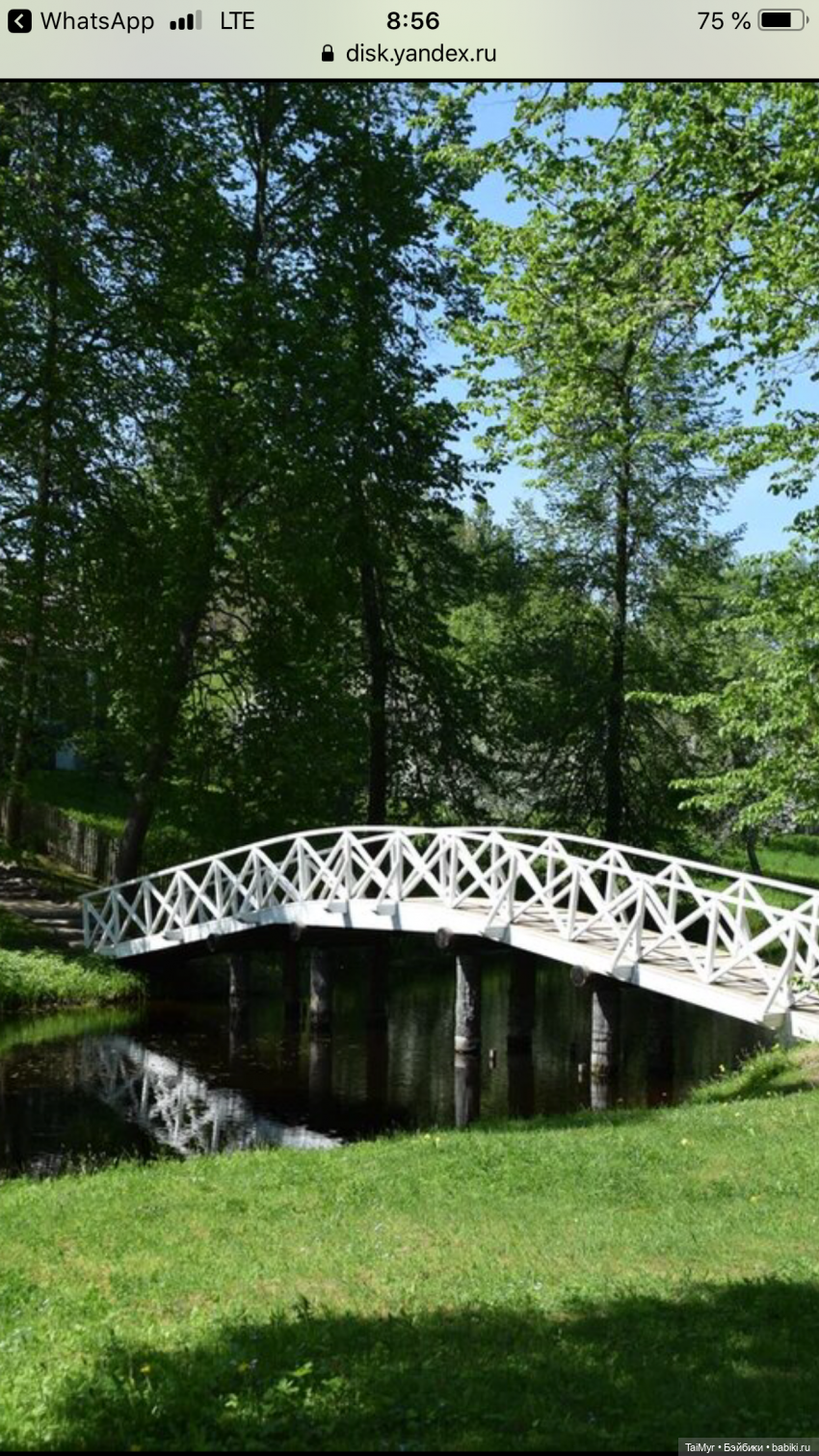 Маленькие путешественники (продолжение)