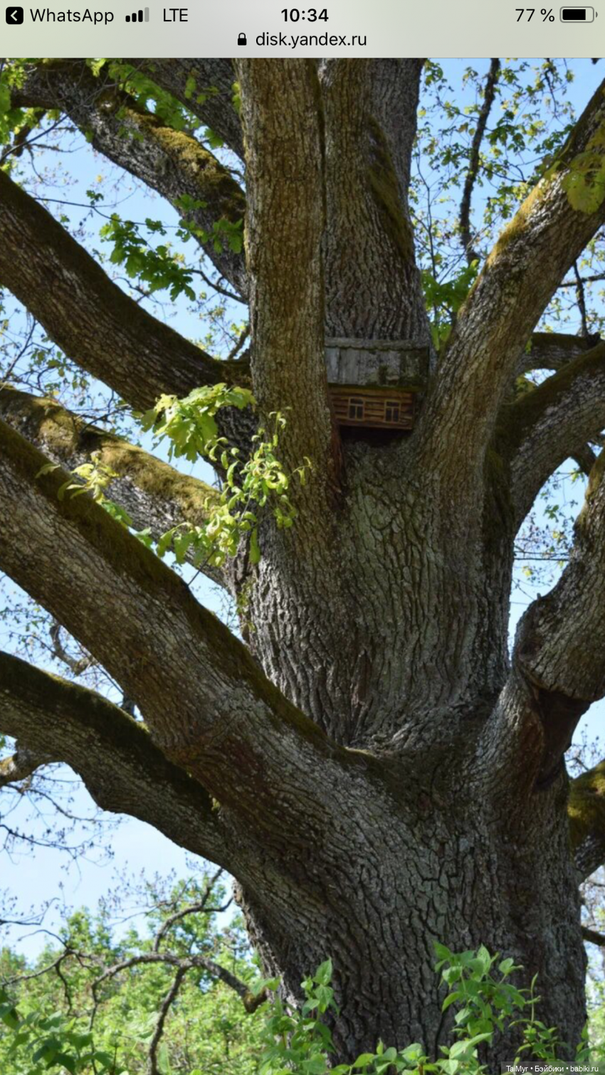 Маленькие путешественники (продолжение)