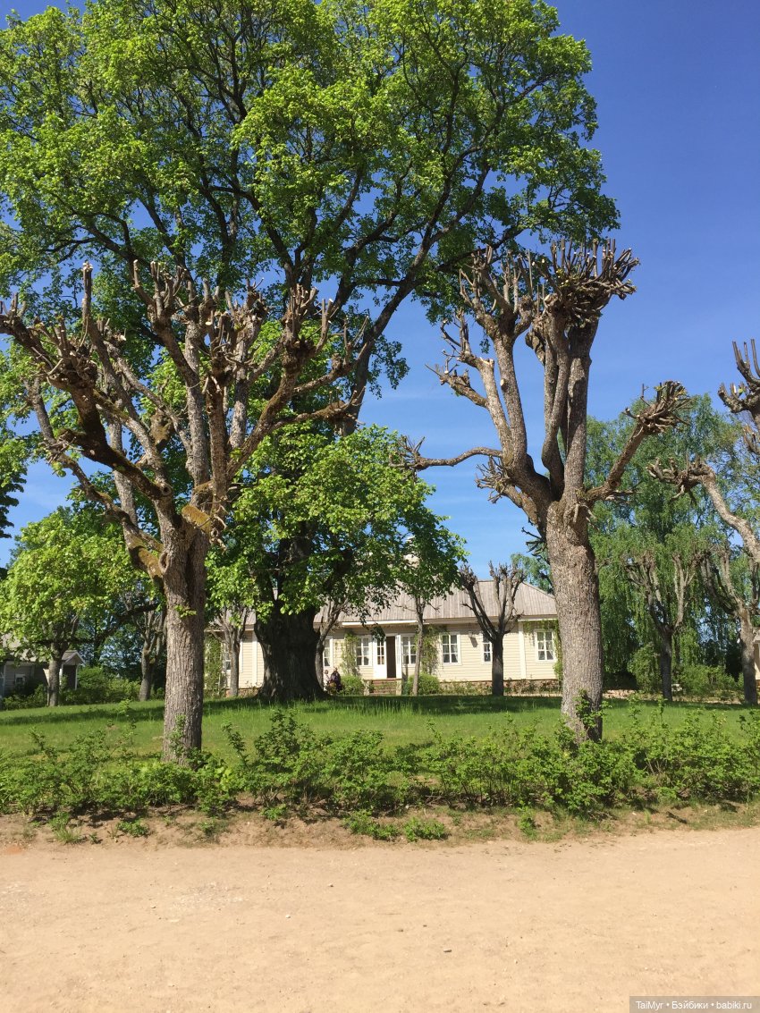 Маленькие путешественники (продолжение)