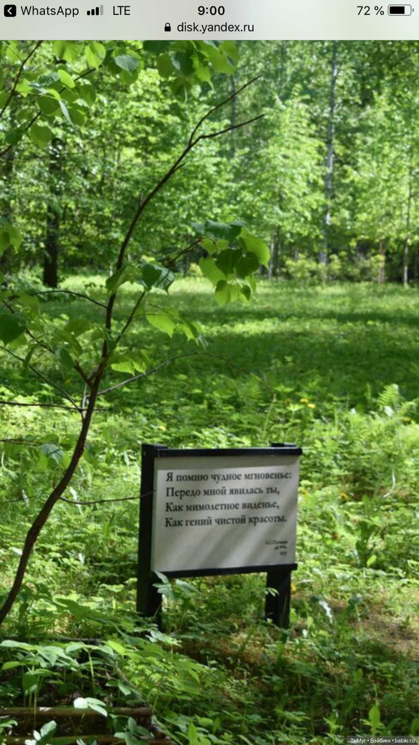 Маленькие путешественники (продолжение)