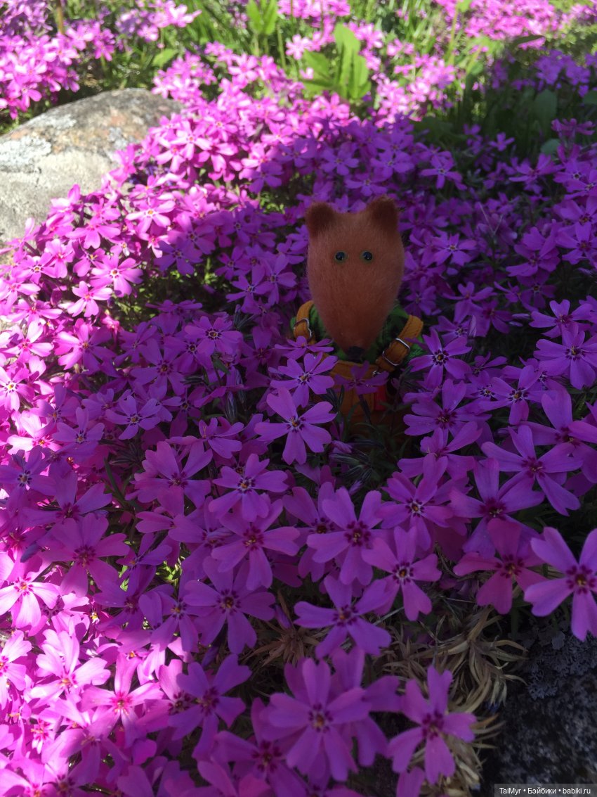 Маленькие путешественники (продолжение)