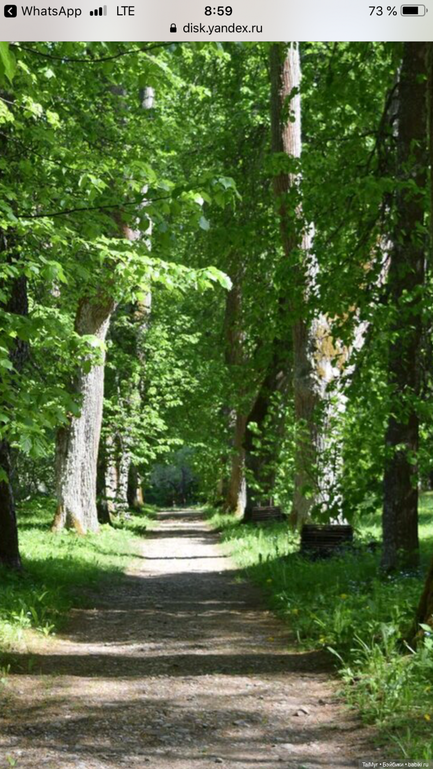 Маленькие путешественники (продолжение)