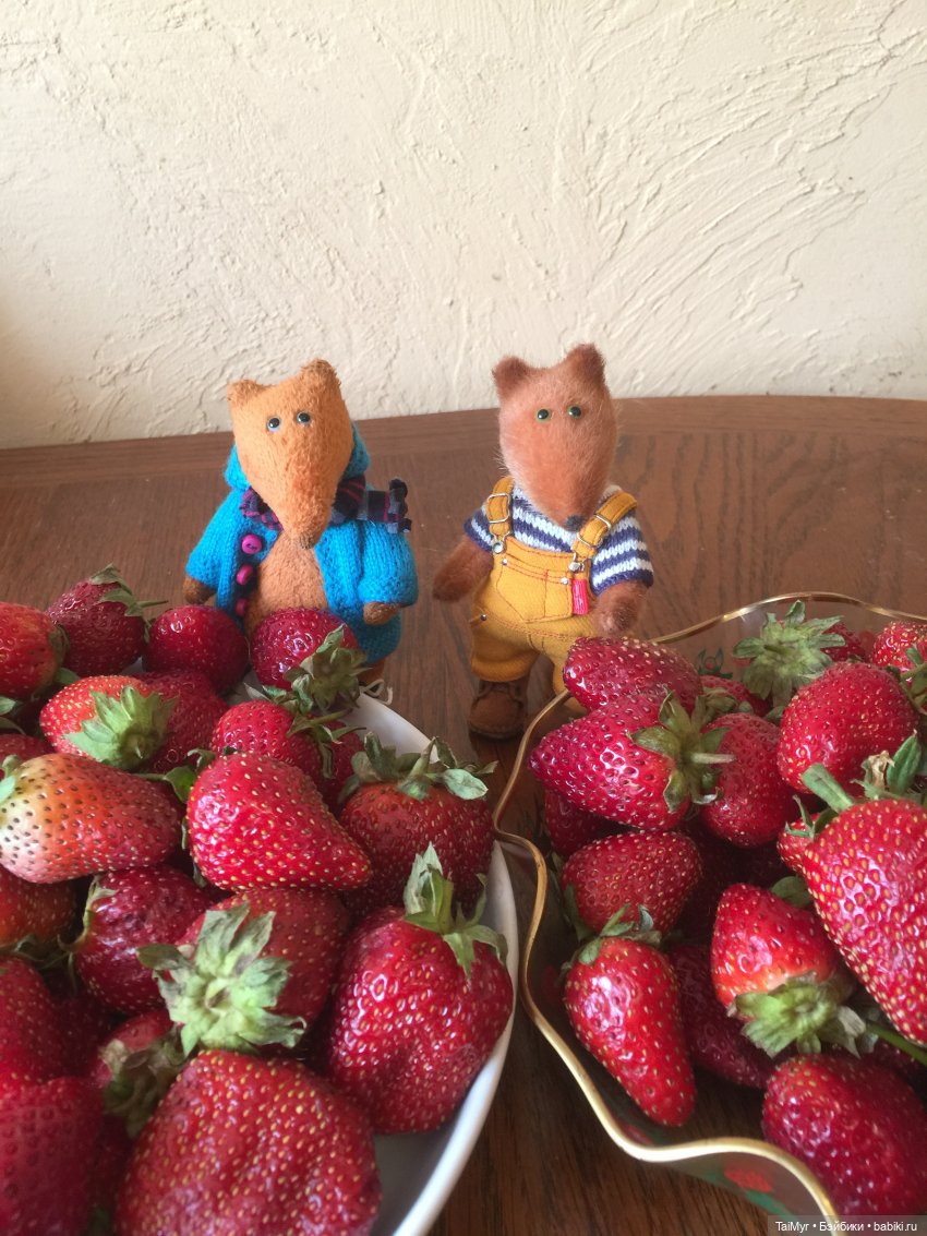 18 июня-день Клубники — Домашние фото авторских игрушек: Тедди