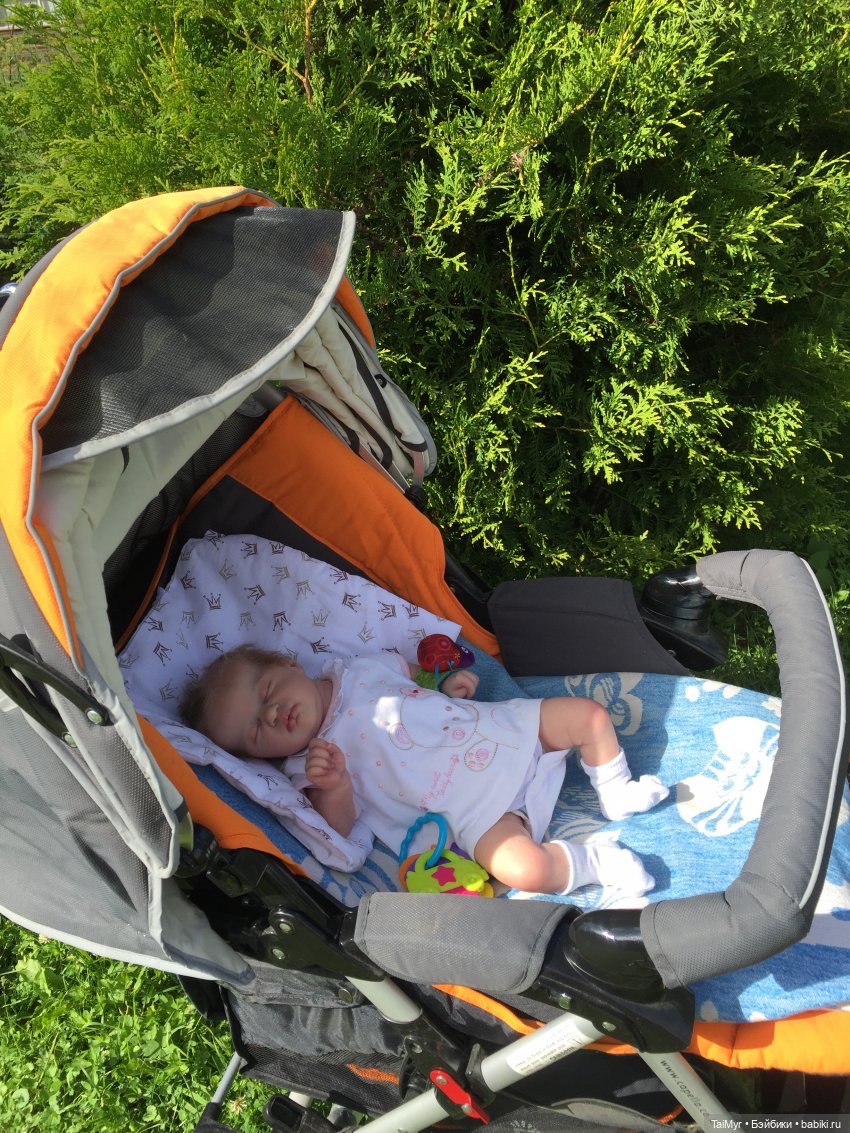 Летний сон — Куклы Реборн (Reborn): домашние фото