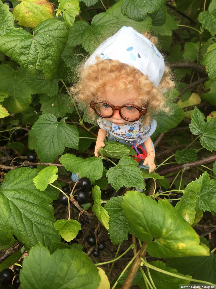 Люсенька -дачница — Авторские работы в частных коллекциях: домашние фото кукол и игрушек (фото 3)