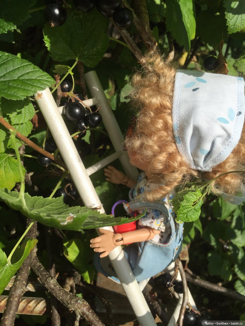 Люсенька -дачница — Авторские работы в частных коллекциях: домашние фото кукол и игрушек (фото 5)