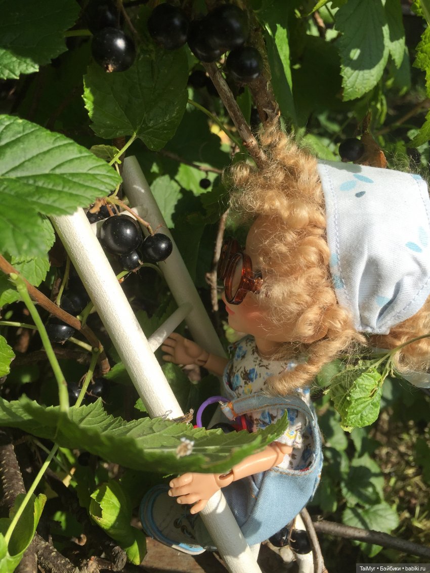 Люсенька -дачница — Авторские работы в частных коллекциях: домашние фото кукол и игрушек (фото 6)