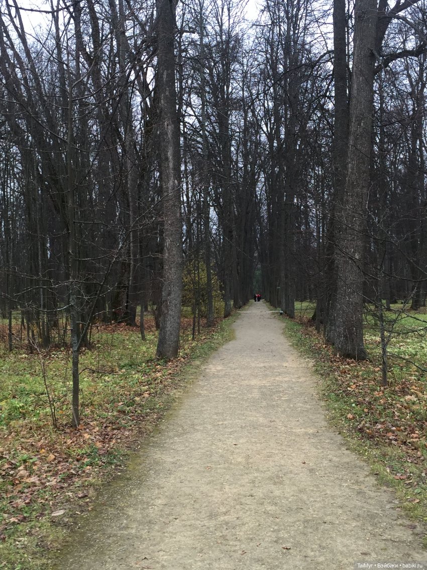 Маленькие каникулы в городе Орле (часть 3) | Бэйбики Маленькие каникулы в городе Орле (часть 3)