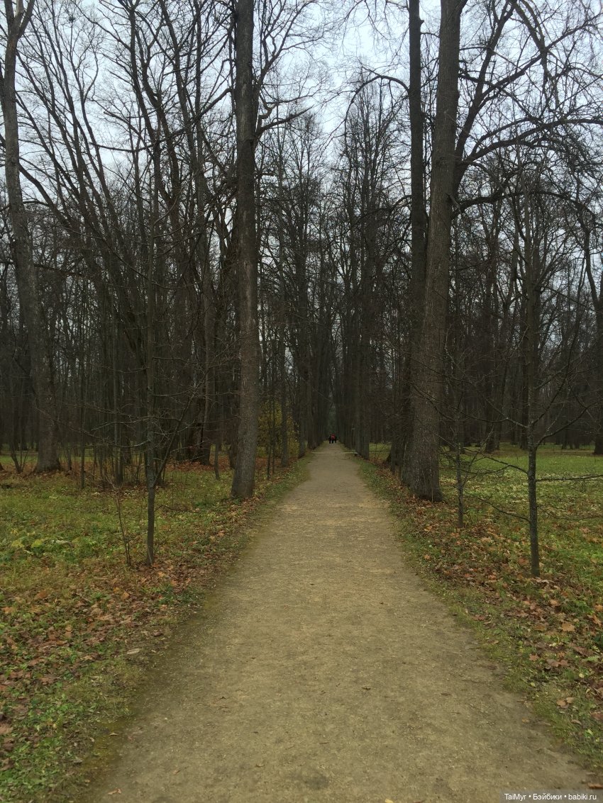 Маленькие каникулы в городе Орле (часть 3) | Бэйбики Маленькие каникулы в городе Орле (часть 3)