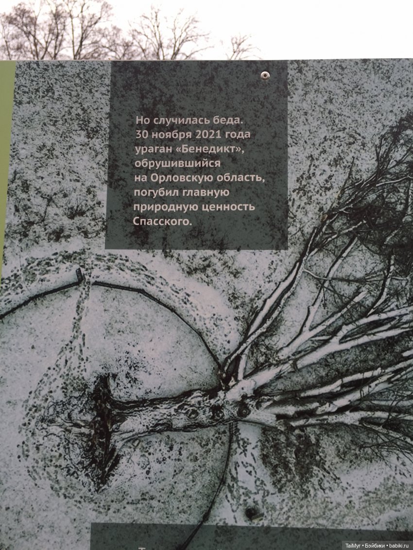Маленькие каникулы в городе Орле (часть 3) | Бэйбики Маленькие каникулы в городе Орле (часть 3)