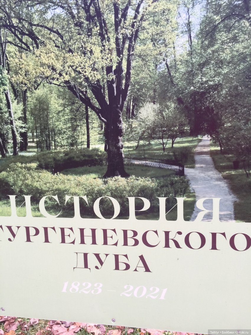 Маленькие каникулы в городе Орле (часть 3) | Бэйбики Маленькие каникулы в городе Орле (часть 3)