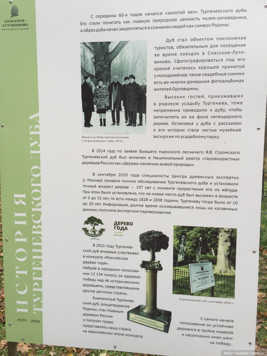 Маленькие каникулы в городе Орле (часть 3) | Бэйбики Маленькие каникулы в городе Орле (часть 3)