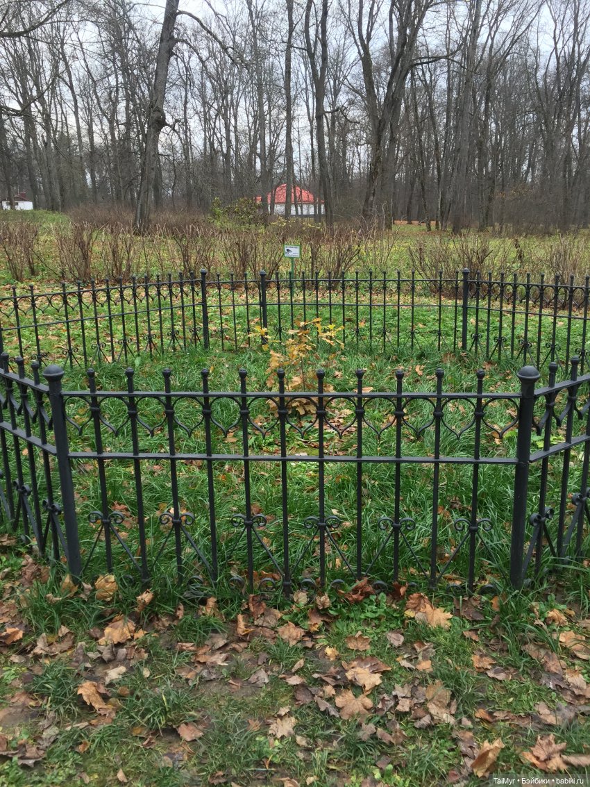 Маленькие каникулы в городе Орле (часть 3) | Бэйбики Маленькие каникулы в городе Орле (часть 3)