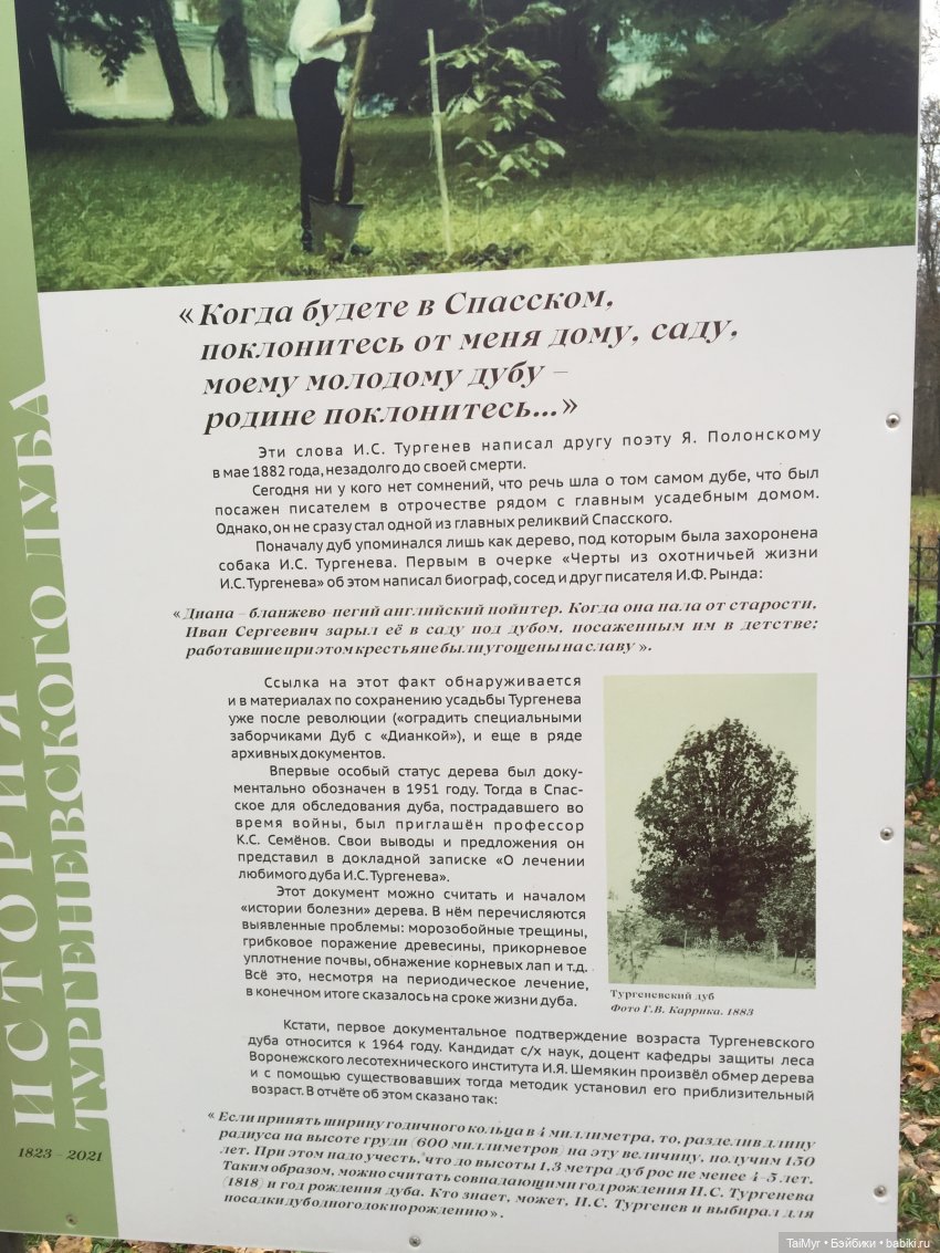 Маленькие каникулы в городе Орле (часть 3) | Бэйбики Маленькие каникулы в городе Орле (часть 3)