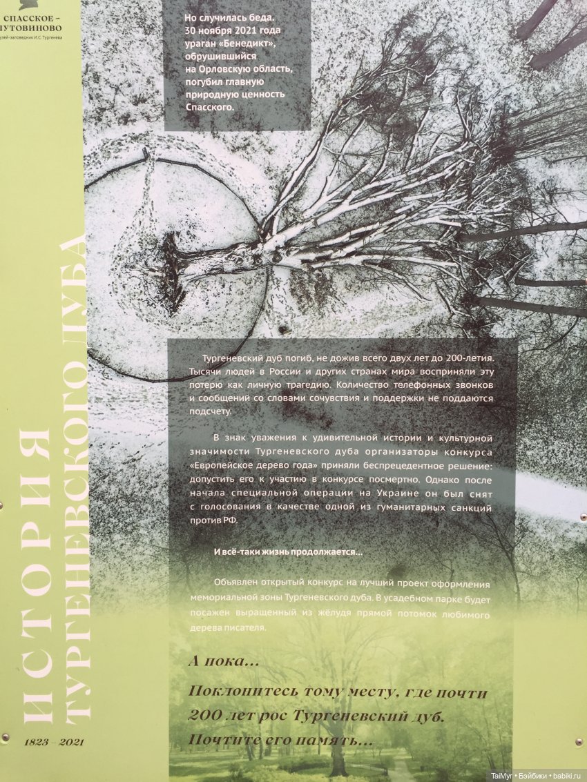 Маленькие каникулы в городе Орле (часть 3) | Бэйбики Маленькие каникулы в городе Орле (часть 3)