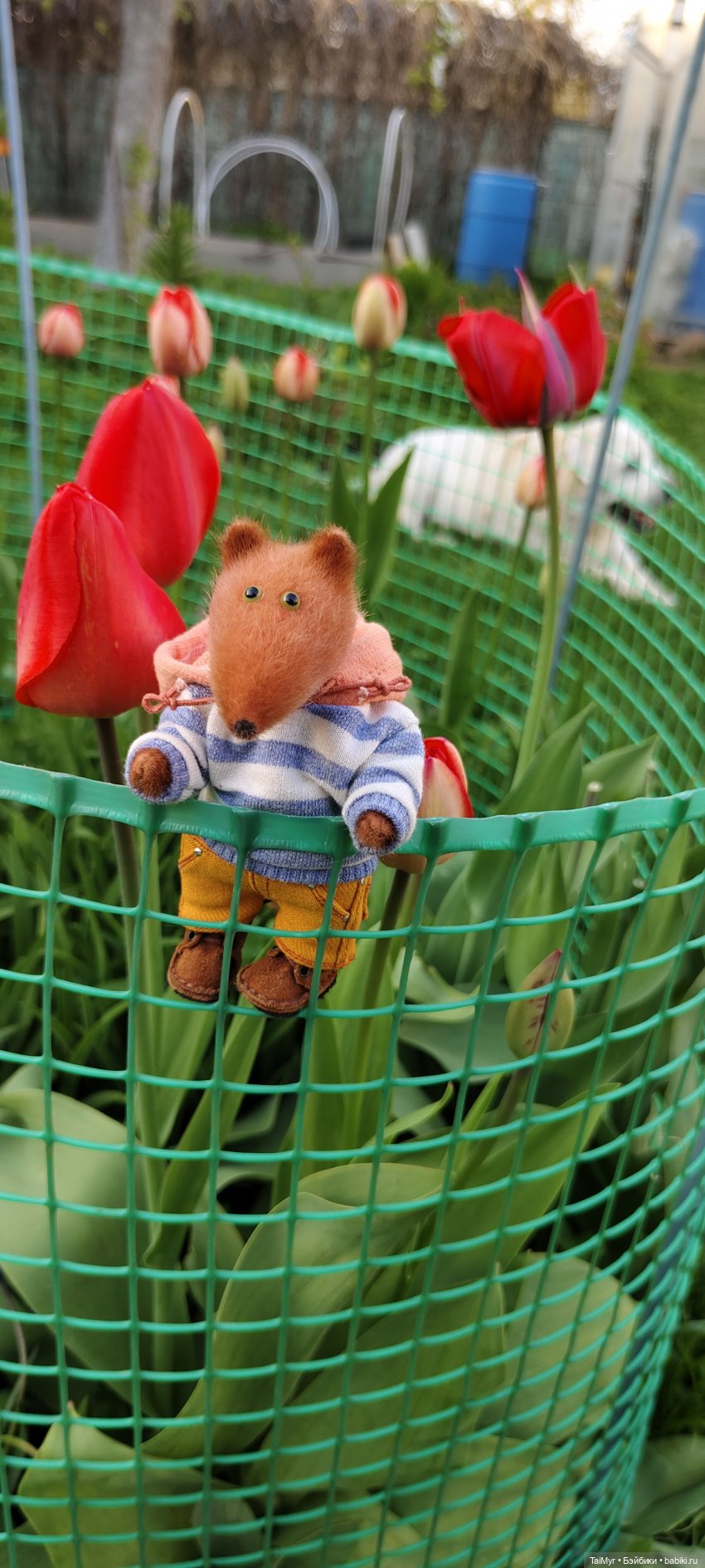 Всех с 1 Мая — Домашние фото авторских кукол: личные коллекции (фото 7)