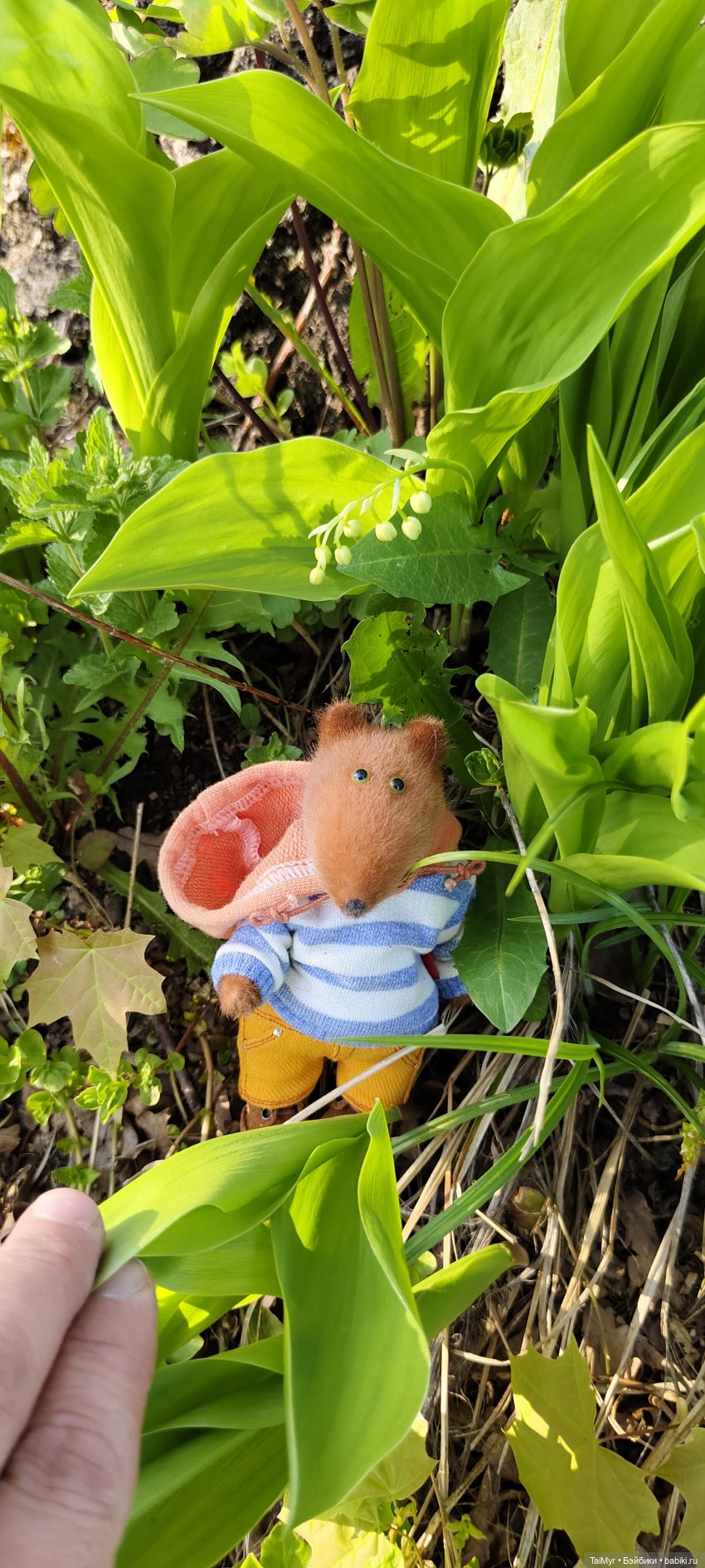 Всех с 1 Мая — Домашние фото авторских кукол: личные коллекции (фото 4)