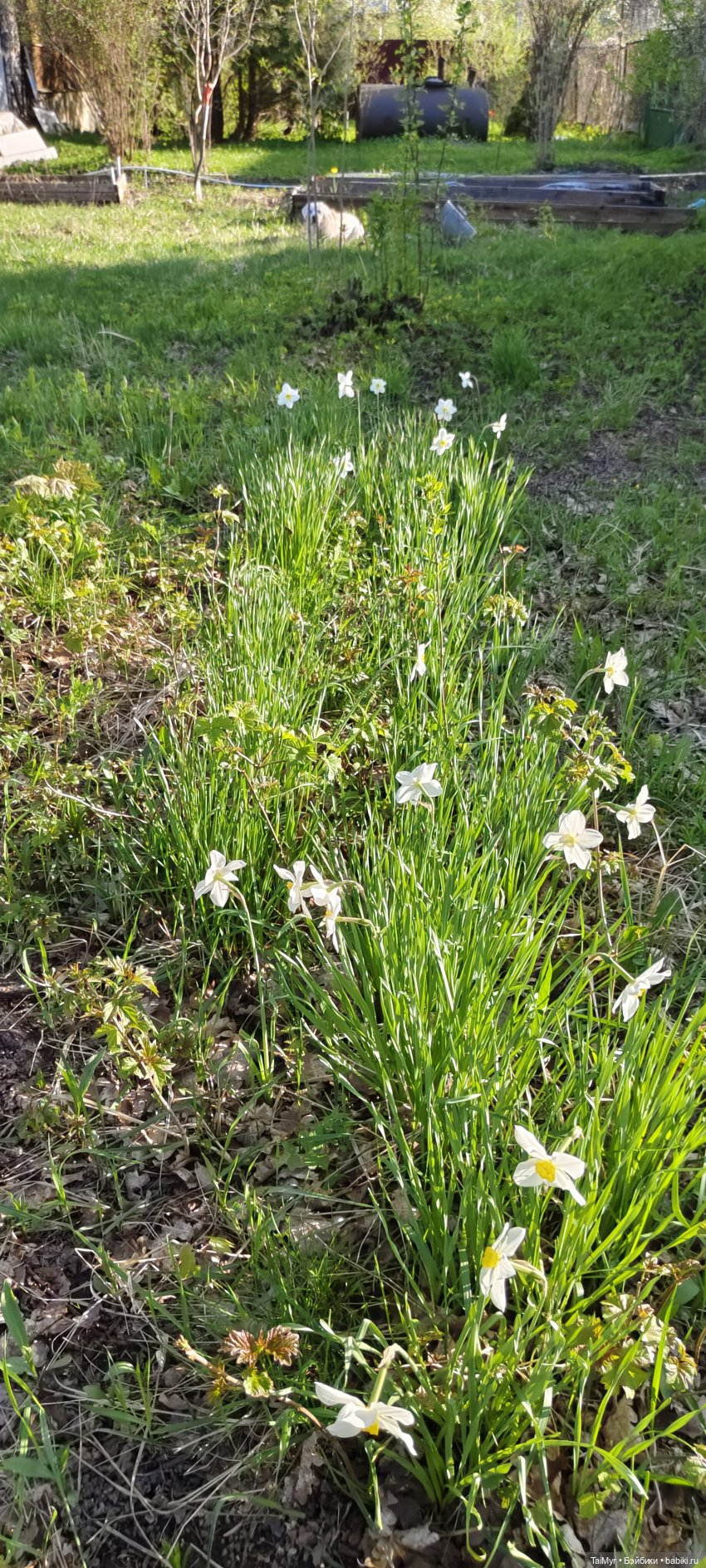 Всех с 1 Мая — Домашние фото авторских кукол: личные коллекции (фото 2)