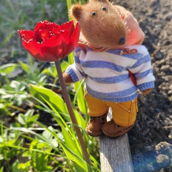 Всех с 1 Мая!