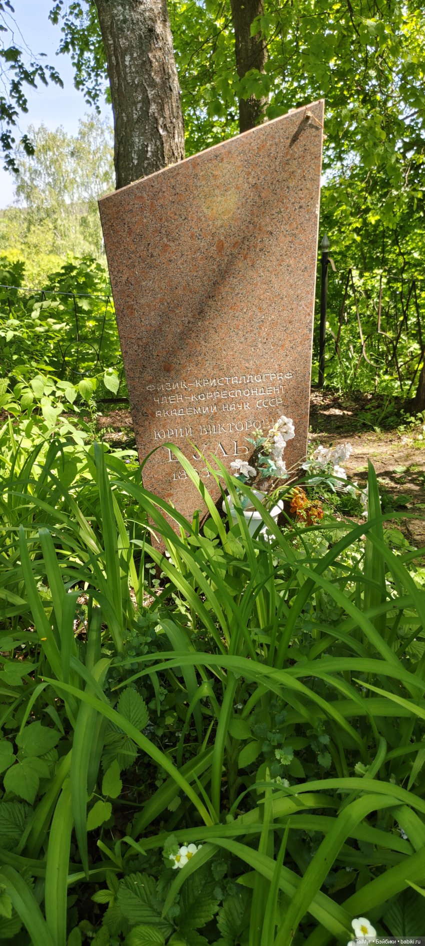 Экскурсия в Тарусу — Туризм и путешествия: фотоотчеты из поездок