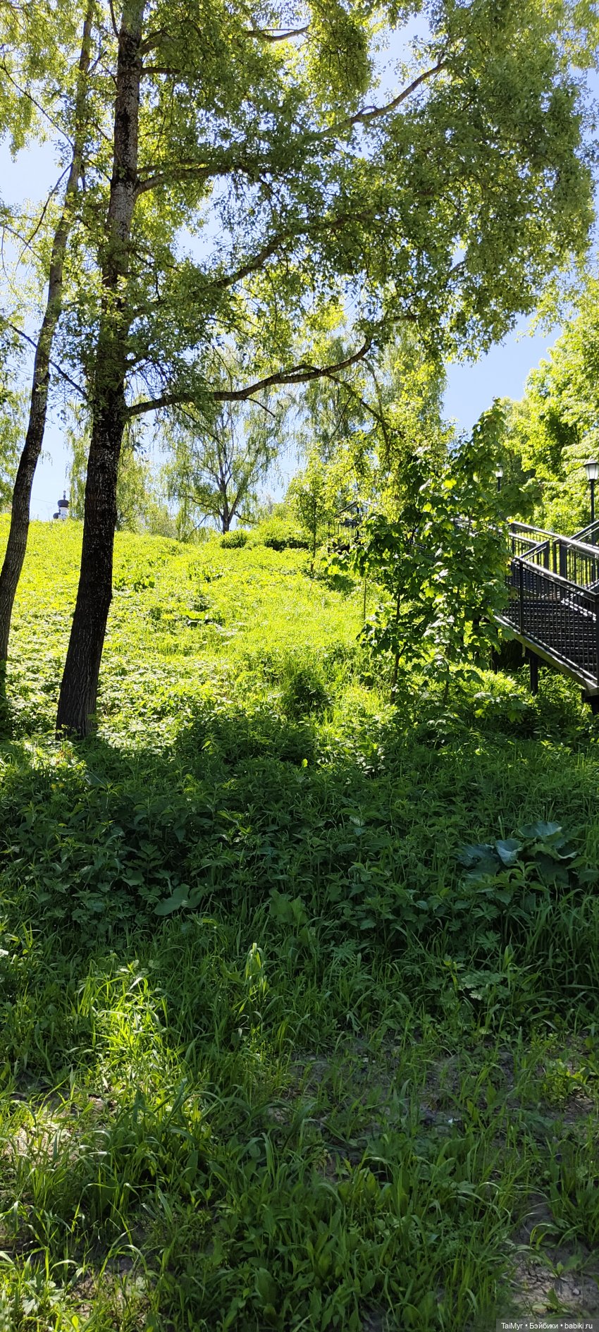 Экскурсия в Тарусу — Туризм и путешествия: фотоотчеты из поездок