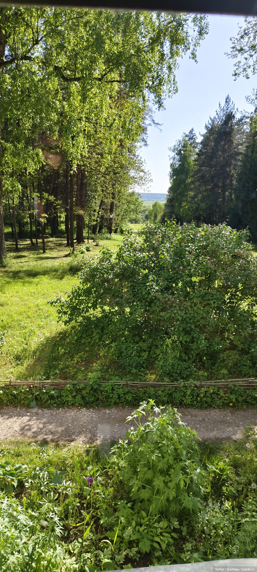 Экскурсия в Поленово ( продолжение)